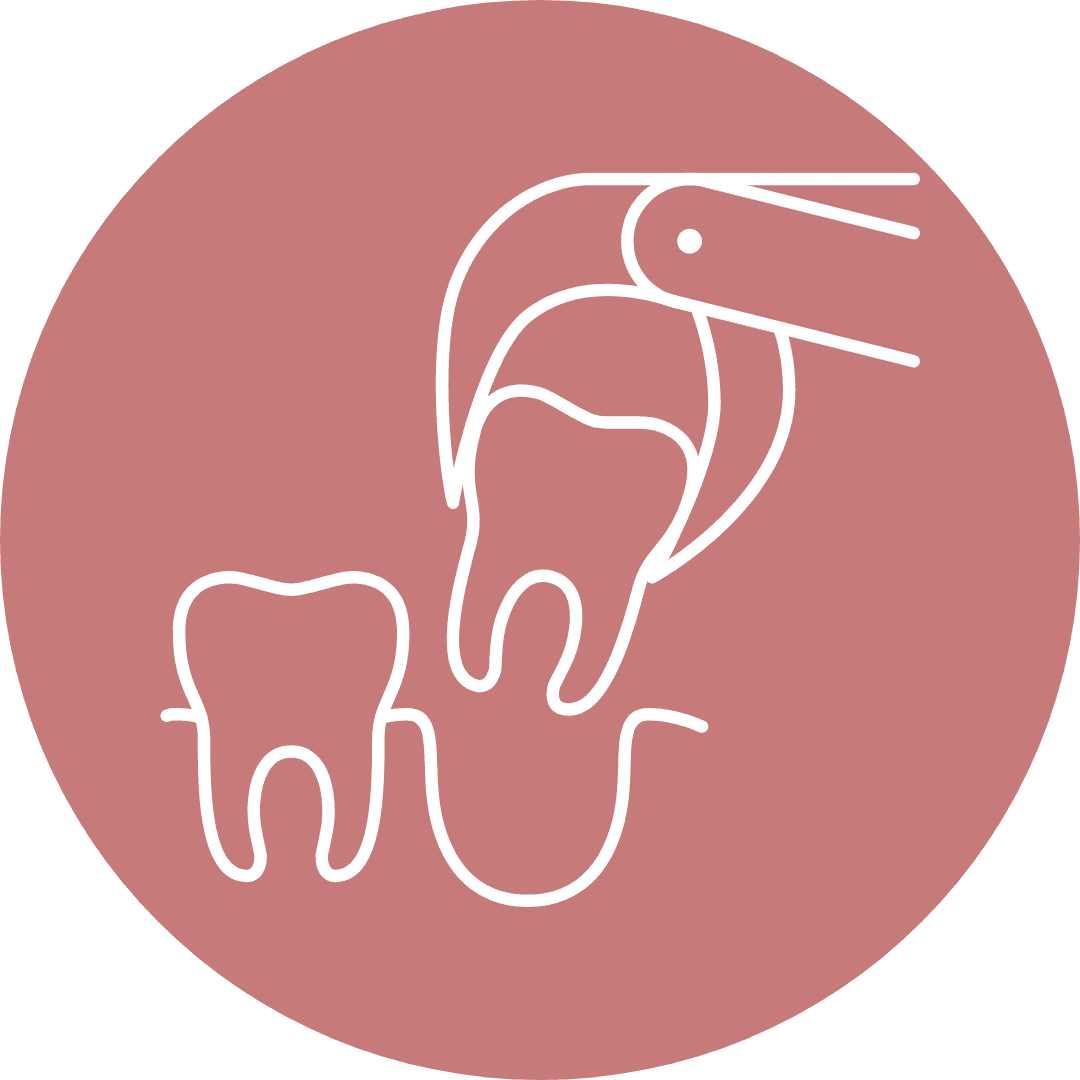 Ilustração do serviço Extração simples e sisos